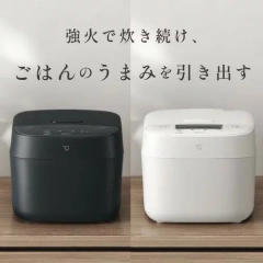 ZOJIRUSHI象印 電子鍋 豪熱沸騰IH 6人份 NV-KA10 26年款