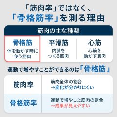 OMRON 歐姆龍 KRD-703T 體重體脂計 體組成計 智慧體重計 全身測量 BMI 體脂肪率 骨骼肌率 藍牙連線