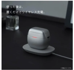 Panasonic 國際牌 掌上型 6刃 電剃刀 ES-P680U-S國際電壓 日本製 26新款