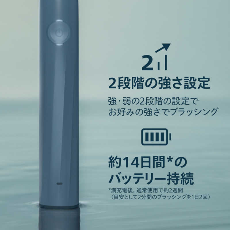 Philips 飛利浦 Sonicare 2100 音波電動牙刷 HX4021/04 海洋藍