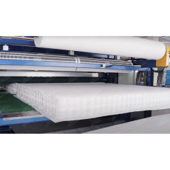 IF-PPA Fully Automatic High Speed Pocket Spring Assembly