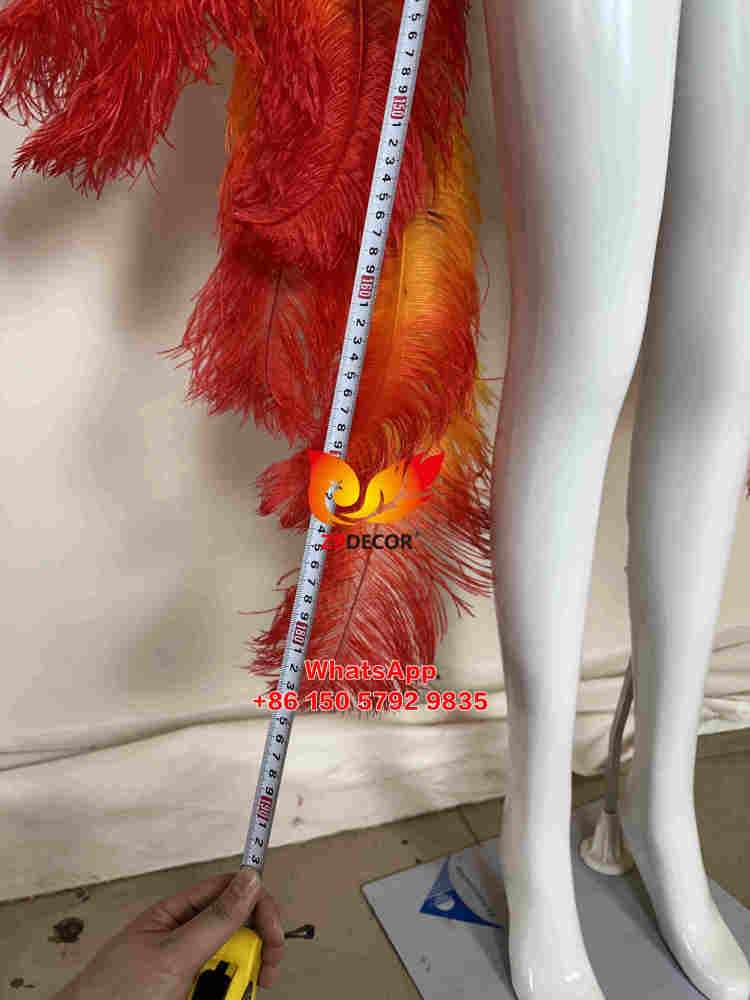 Zpdecor Dyed 3 Colors Gradient Effect Ostrich Feathers and Nandu Made Carnival Costumes Outfits