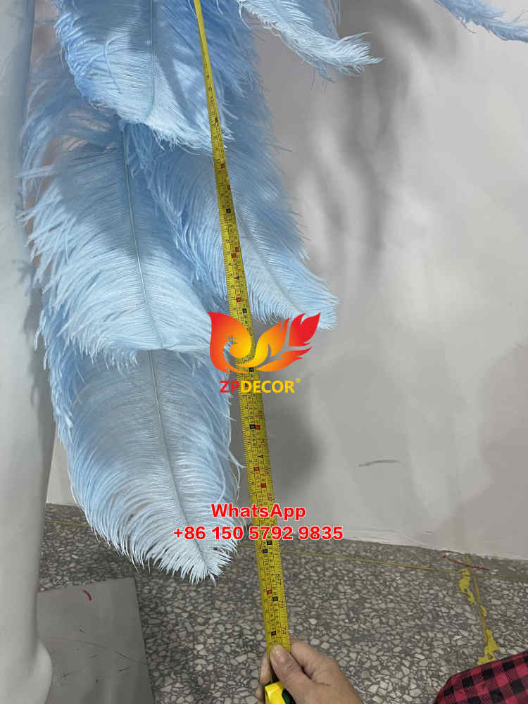 Zpdecor Feathers Made Ostrich Feathers Carnival Costumes Outfits