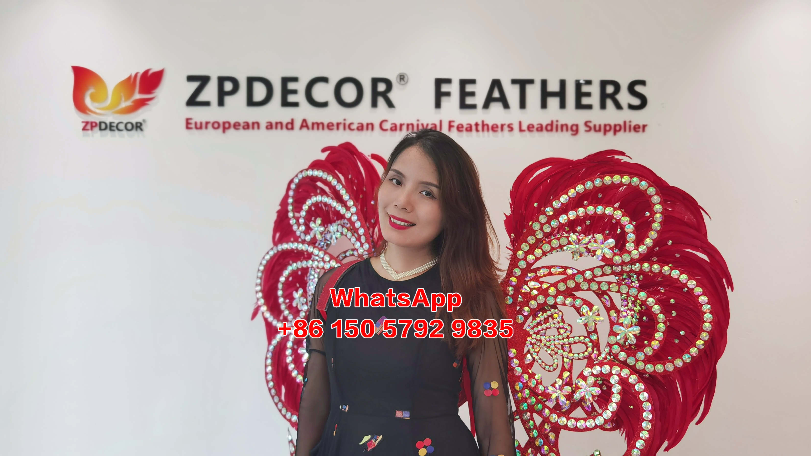 Zpdecor Feathers Supply Rooster Tail Feathers Carnival Costumes Wing