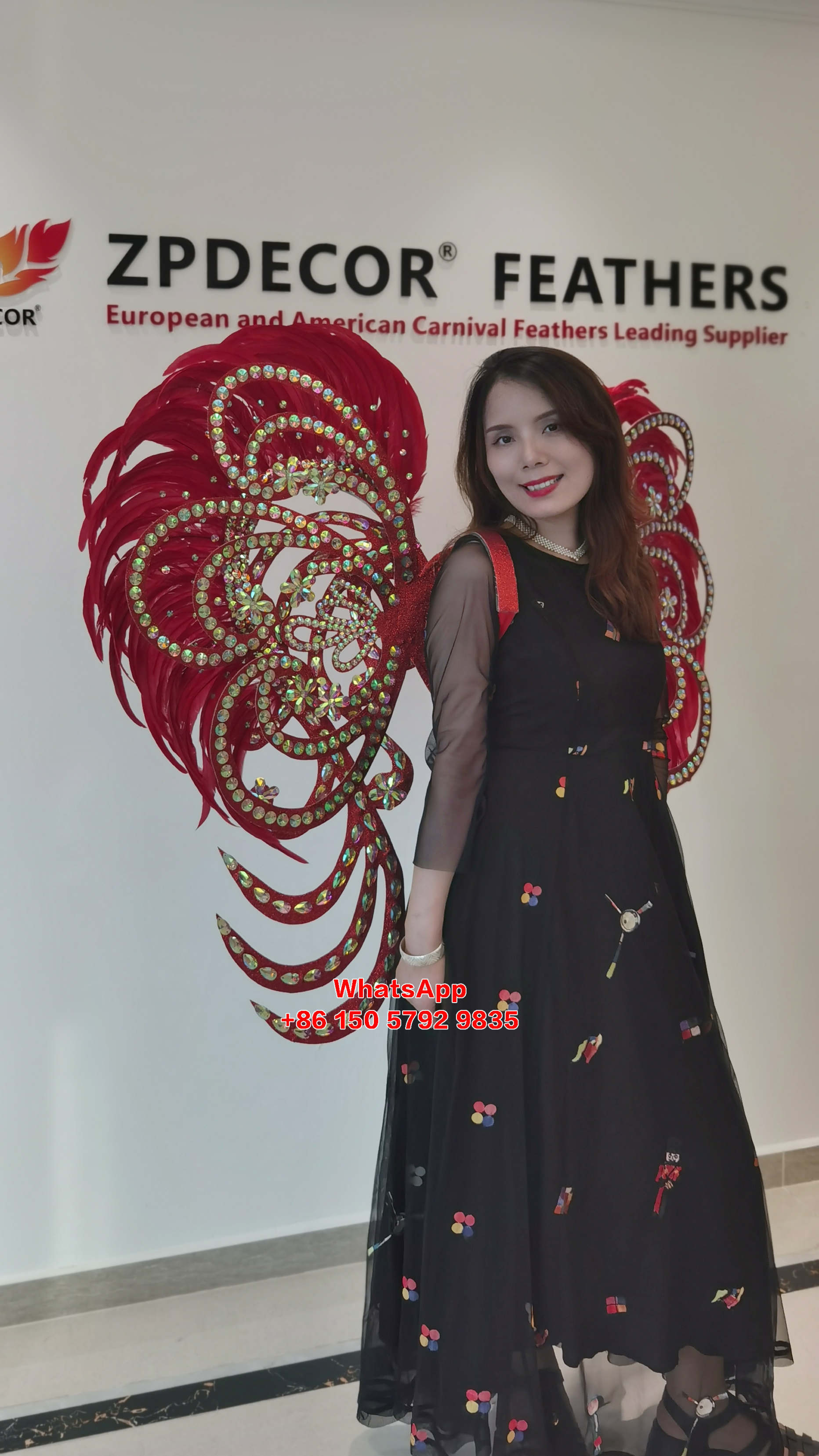 Zpdecor Feathers Supply Rooster Tail Feathers Carnival Costumes Wing