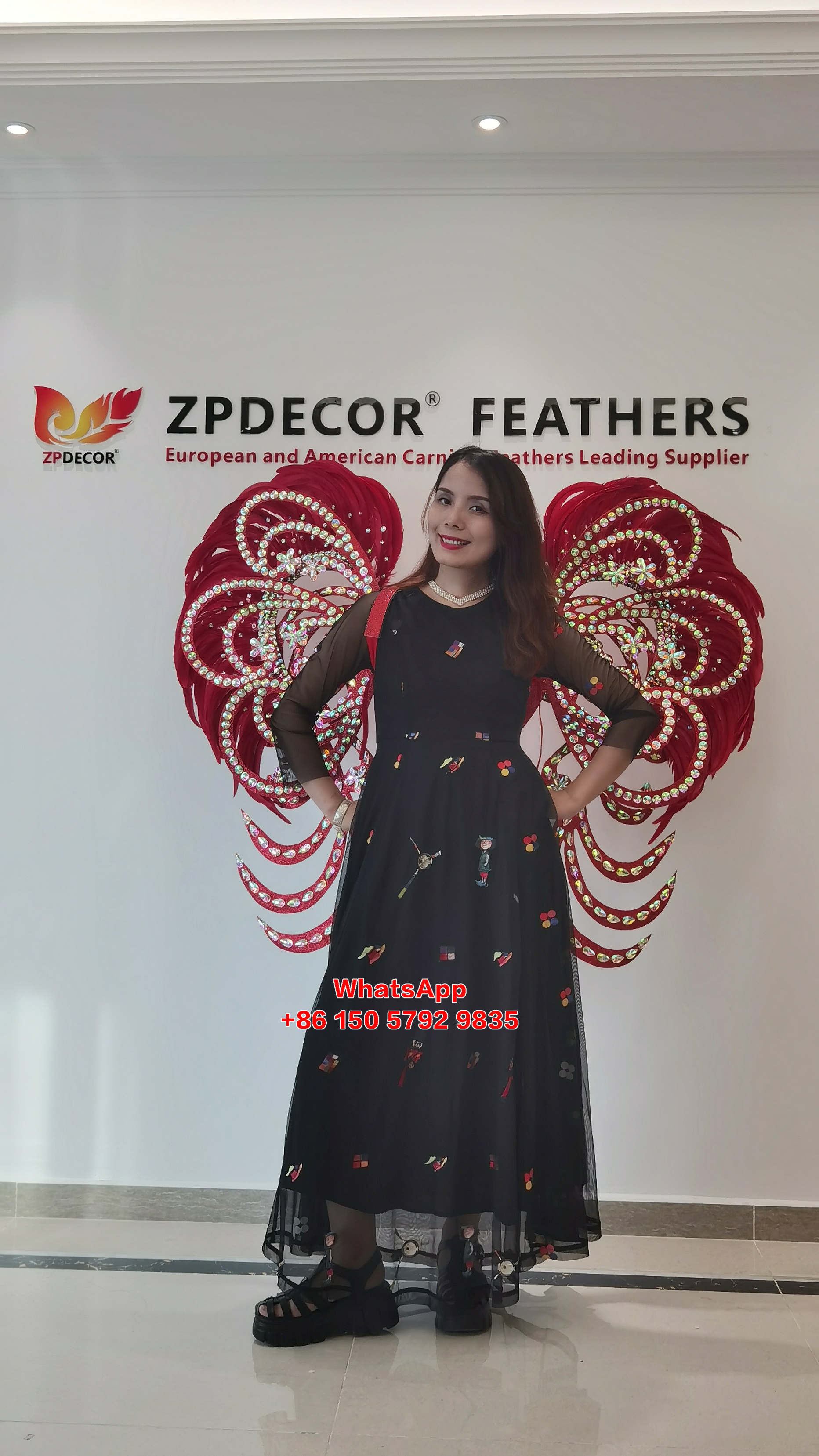 Zpdecor Feathers Supply Rooster Tail Feathers Carnival Costumes Wing