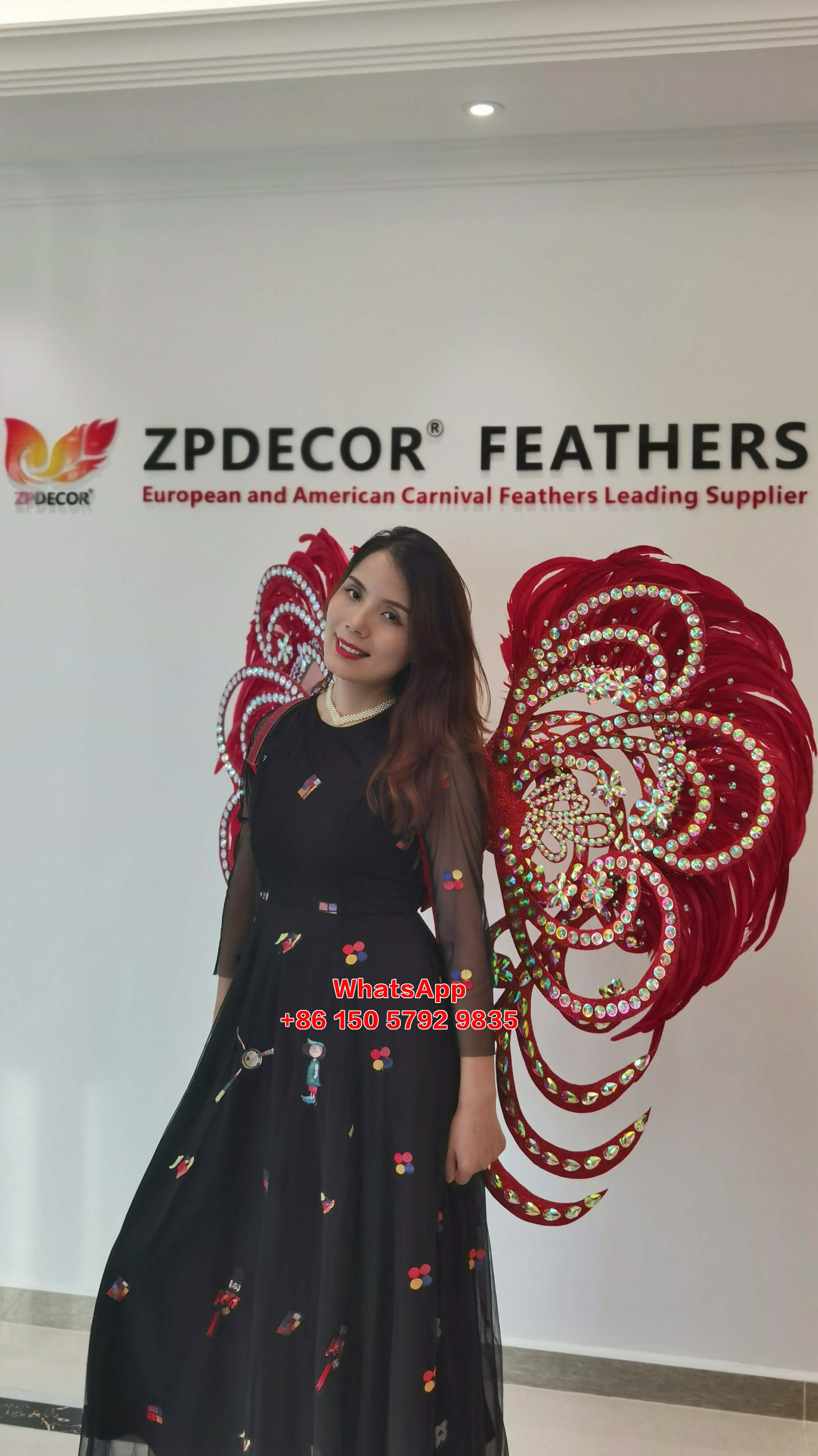 Zpdecor Feathers Supply Rooster Tail Feathers Carnival Costumes Wing