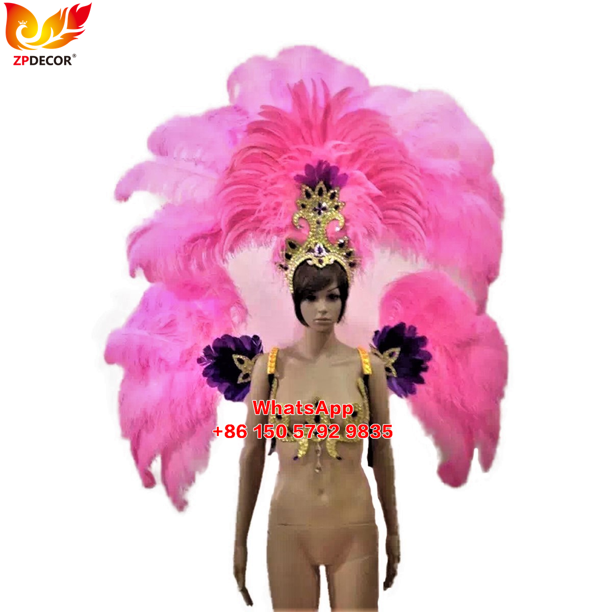 Zpdecor Feathers Supply Ostrich feathers Backpieces Wing Outfits