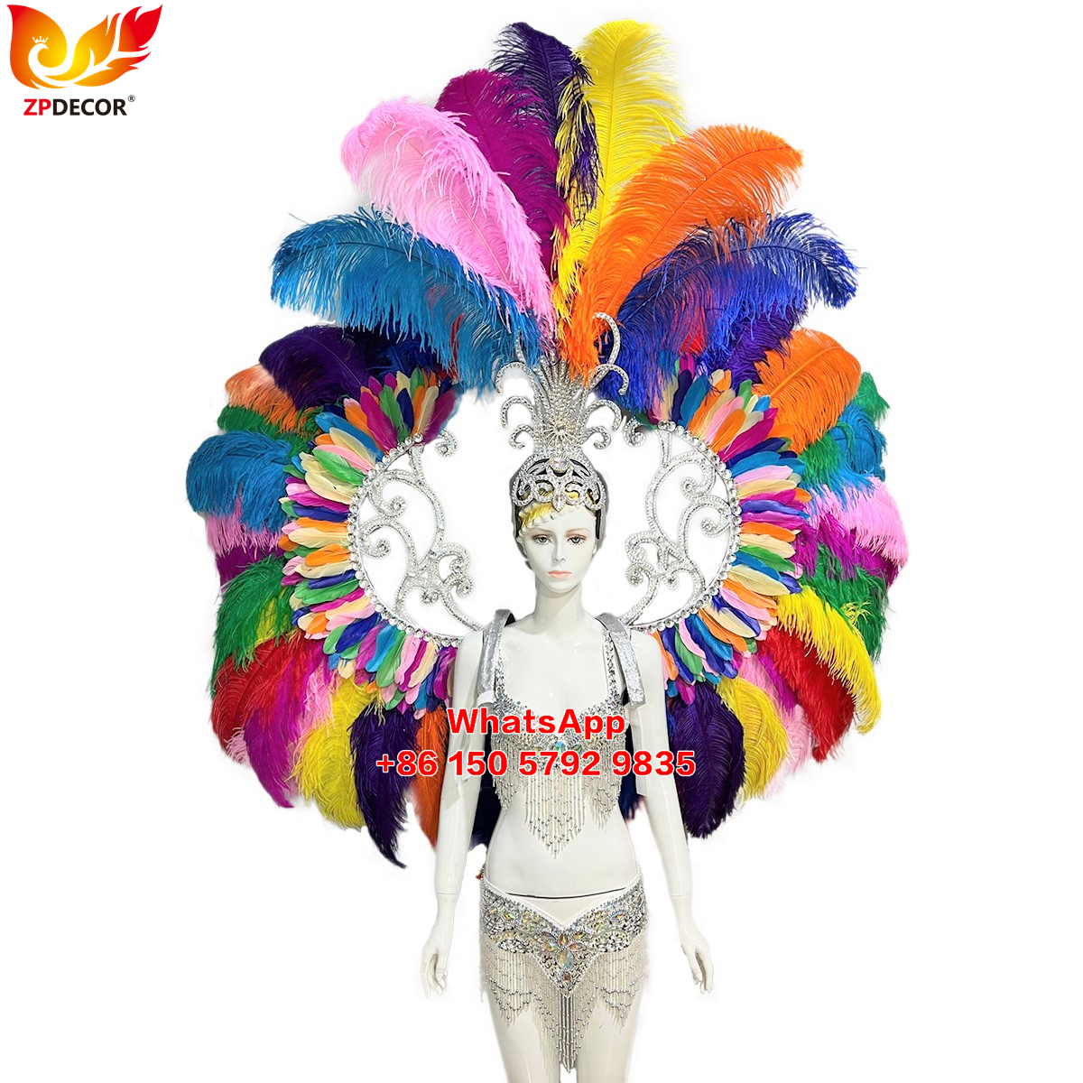 Zpdecor Feathers Supply Ostrich feathers Backpieces Wing Outfits