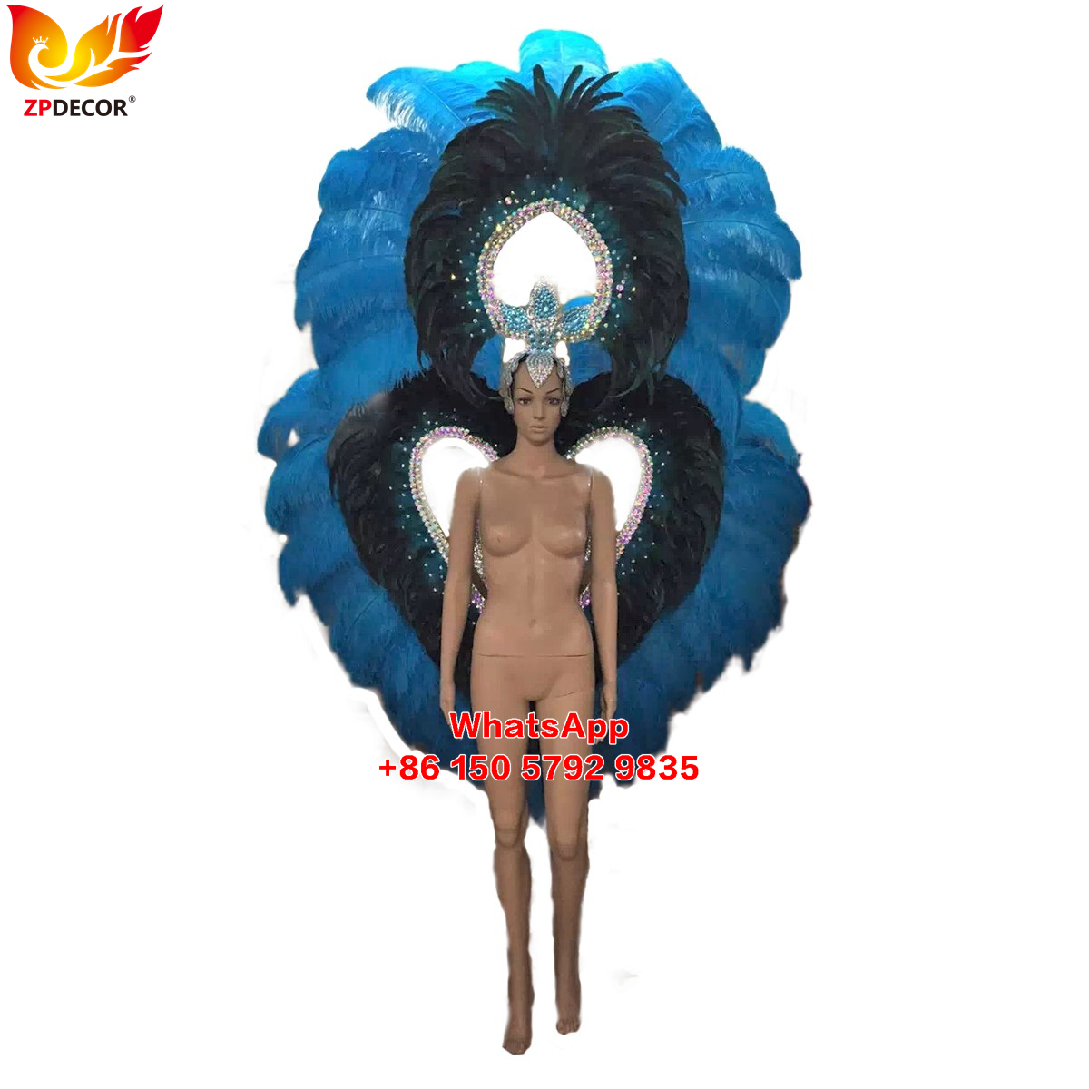Zpdecor Feathers Supply Ostrich feathers Backpieces Wing Outfits