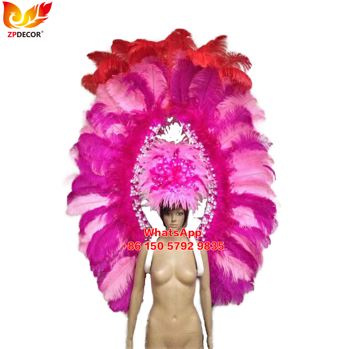 Zpdecor Feathers Supply Ostrich feathers Backpieces Wing Outfits