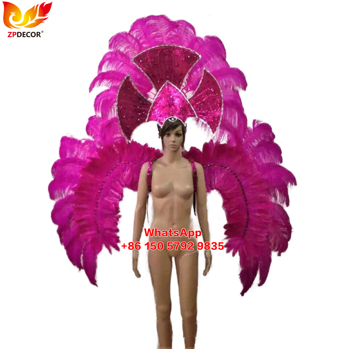 Zpdecor Feathers Supply Ostrich feathers Backpieces Wing Outfits