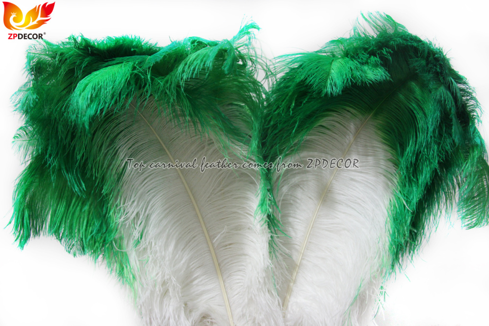 Zpdecor Feathers Wholsale Ostrich Feathers