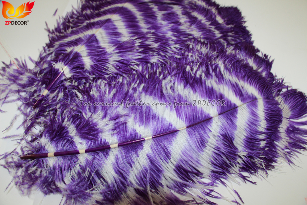 Zpdecor Feathers Wholsale Ostrich Feathers