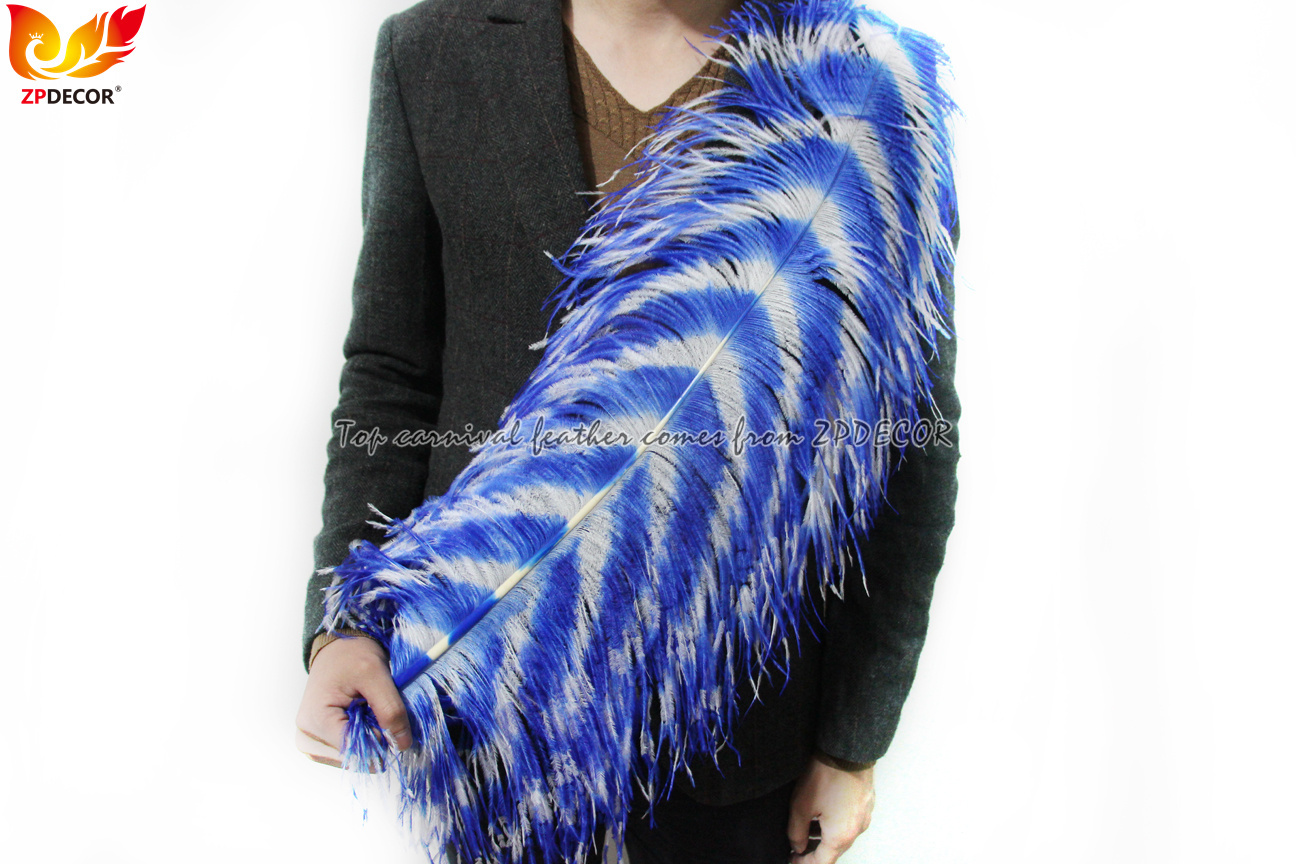 Zpdecor Feathers Wholsale Ostrich Feathers