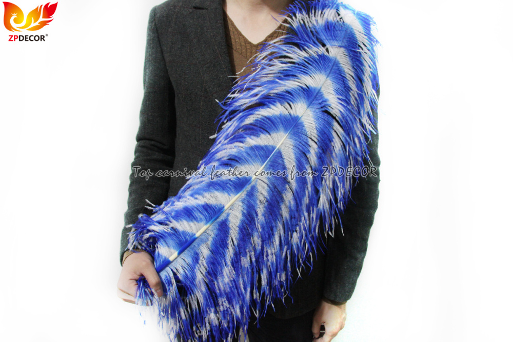 Zpdecor Feathers Wholsale Ostrich Feathers