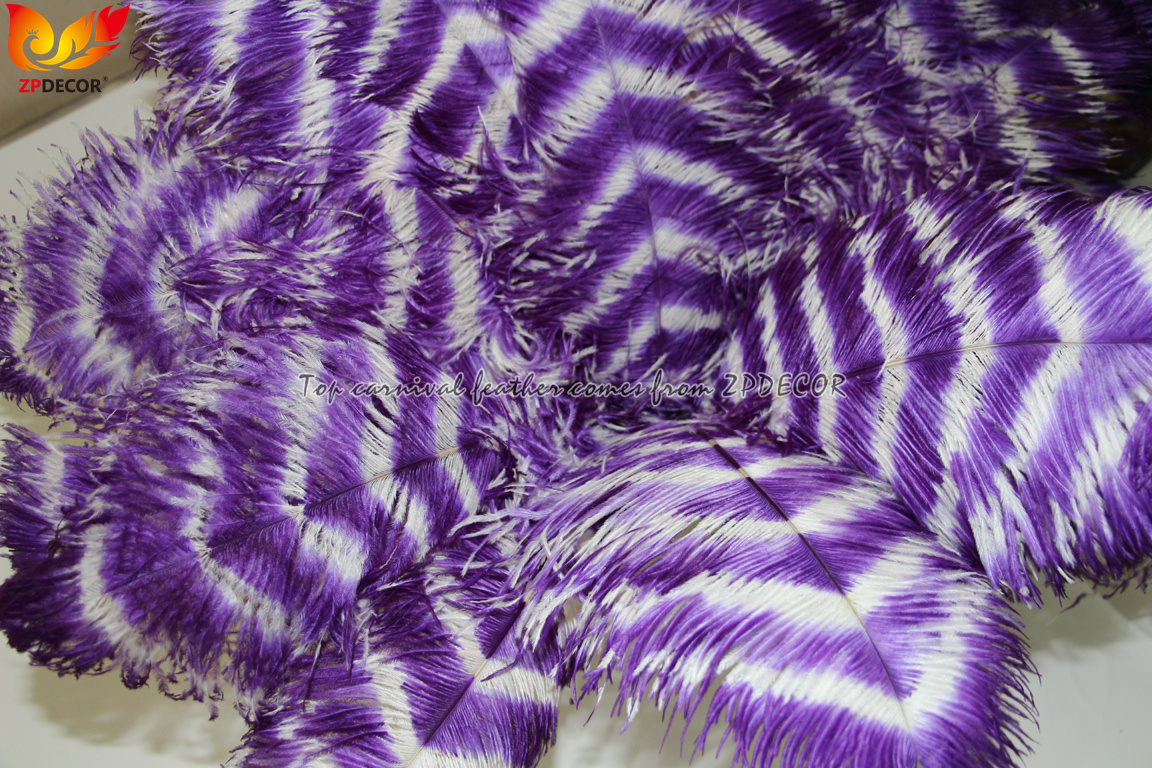 Zpdecor Feathers Wholsale Ostrich Feathers