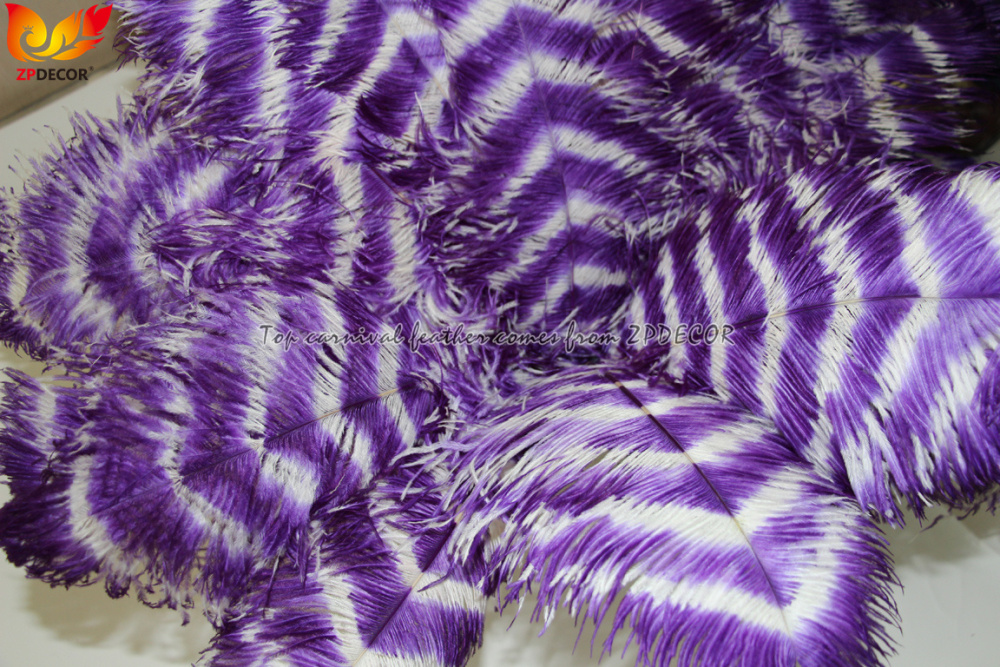 Zpdecor Feathers Wholsale Ostrich Feathers