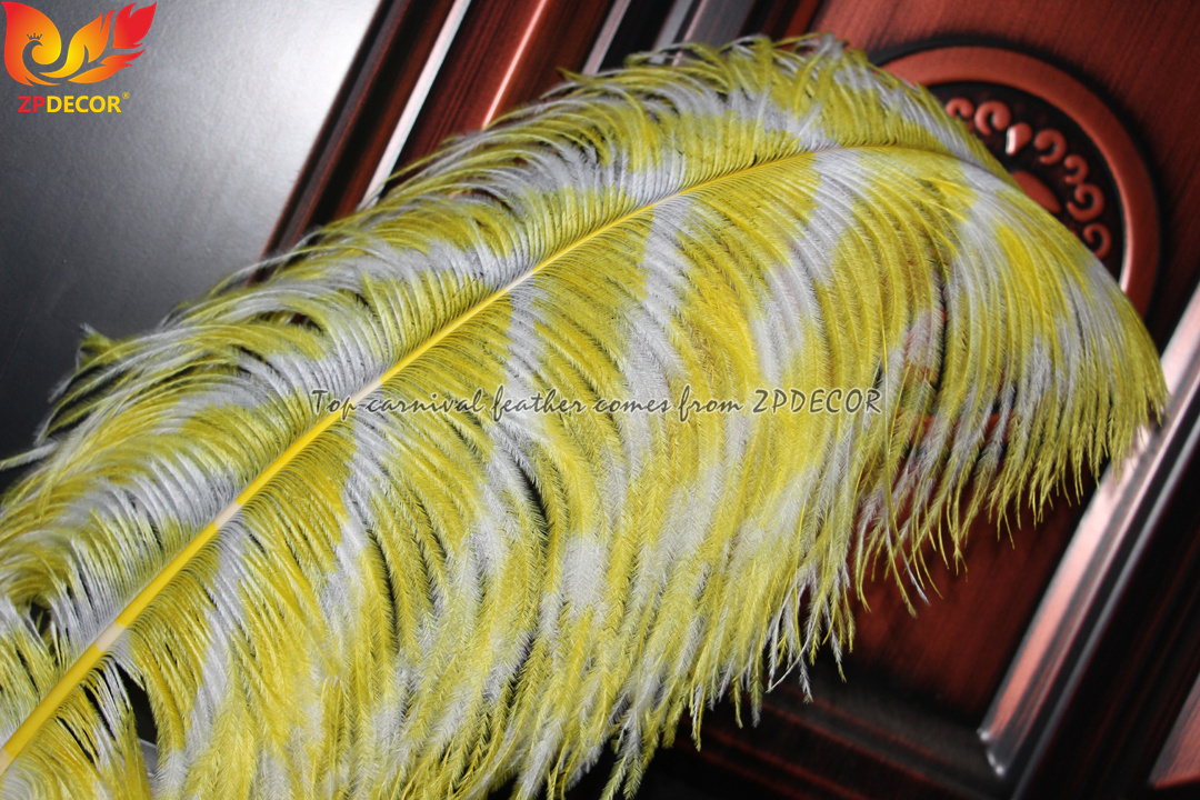 Zpdecor Feathers Dyed Ostrich Feathers