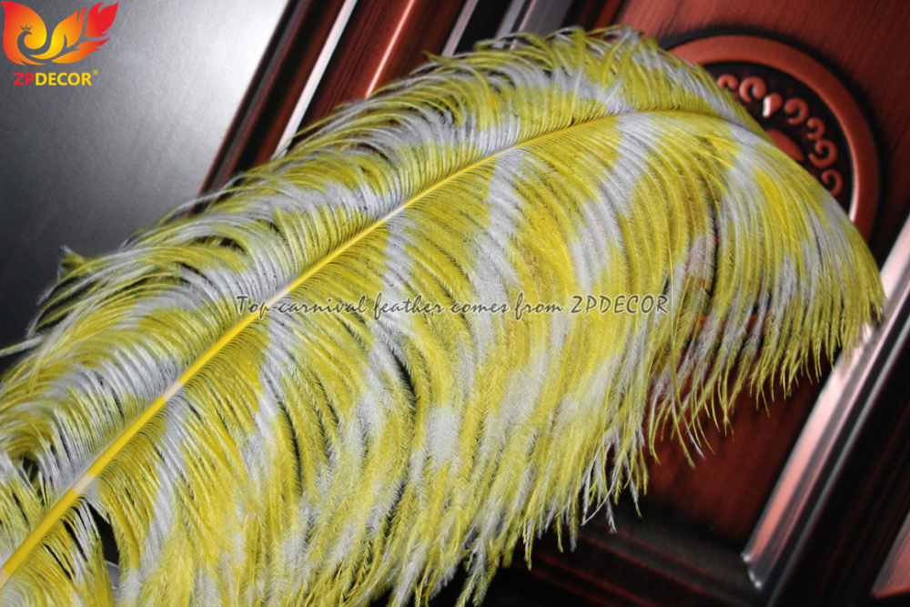 Zpdecor Feathers Dyed Ostrich Feathers