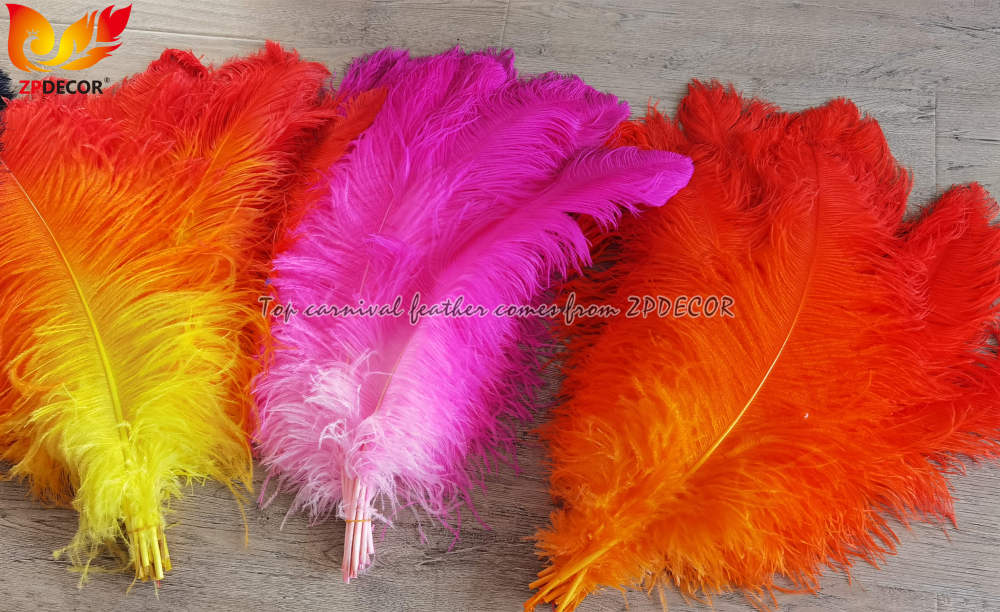 Zpdecor Feathers Wholsale Dyed Ostrich Feathers