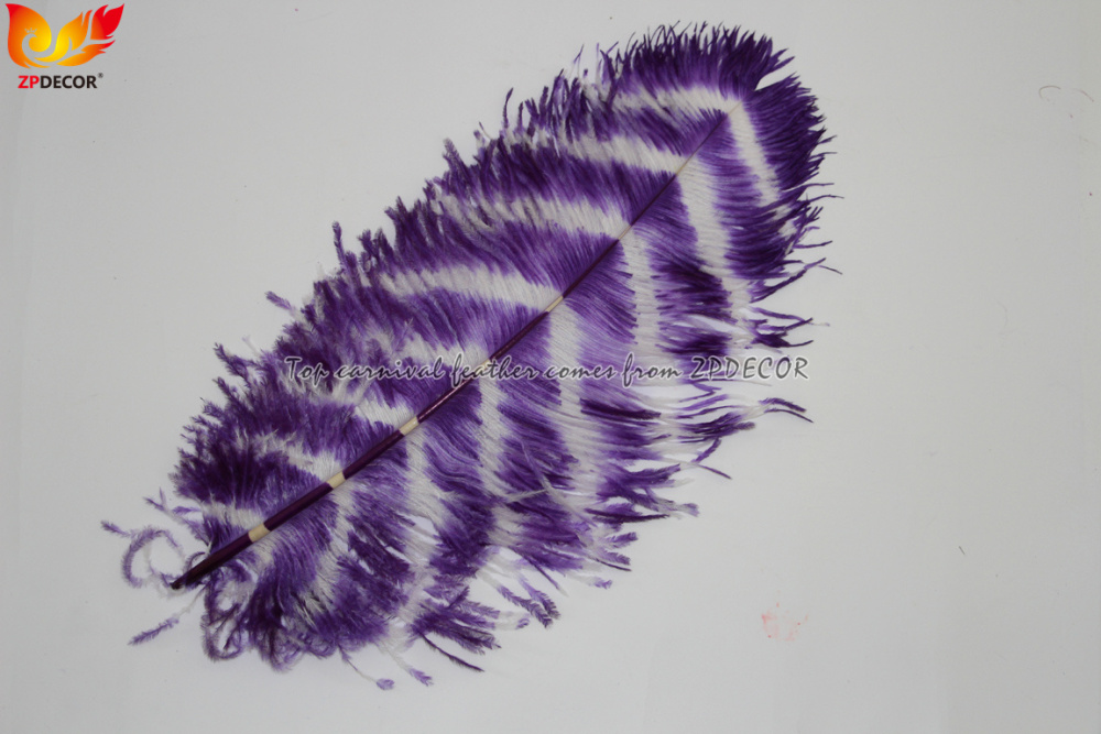 Zpdecor Feathers Wholsale Ostrich Feathers