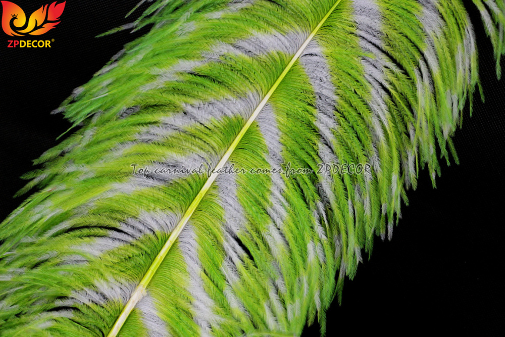 Zpdecor Feathers Wholsale Striped Dyed Ostrich Feathers