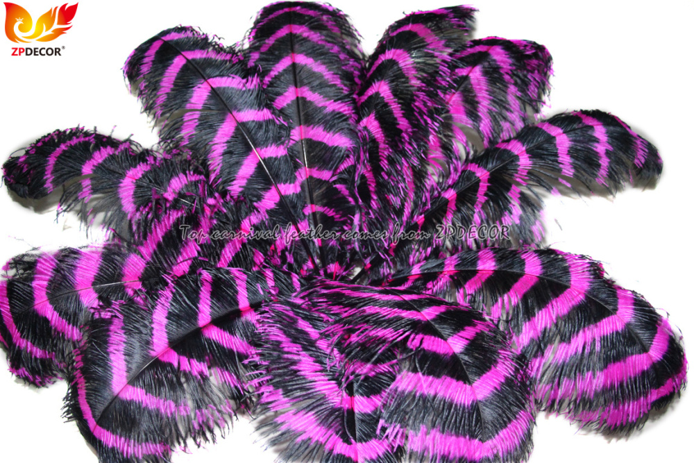 Zpdecor Feathers Wholsale Striped Ostrich Feathers