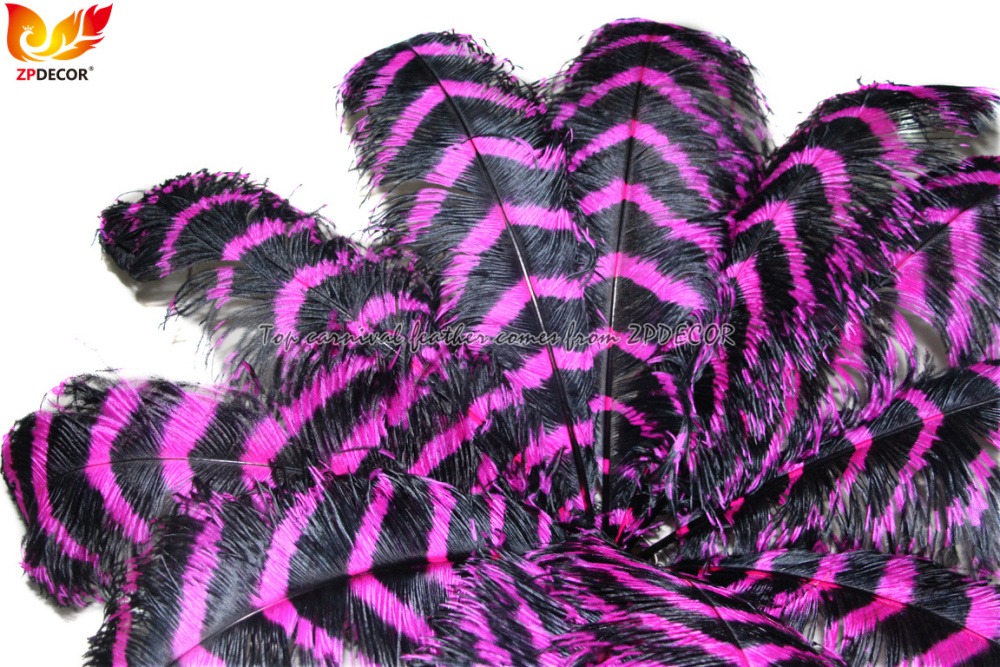Zpdecor Feathers Wholsale Striped Ostrich Feathers