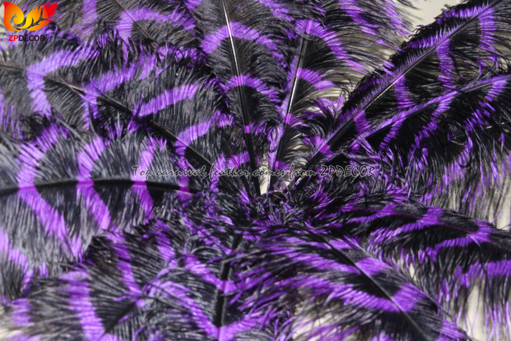 Zpdecor Feathers Wholsale Striped Ostrich Feathers