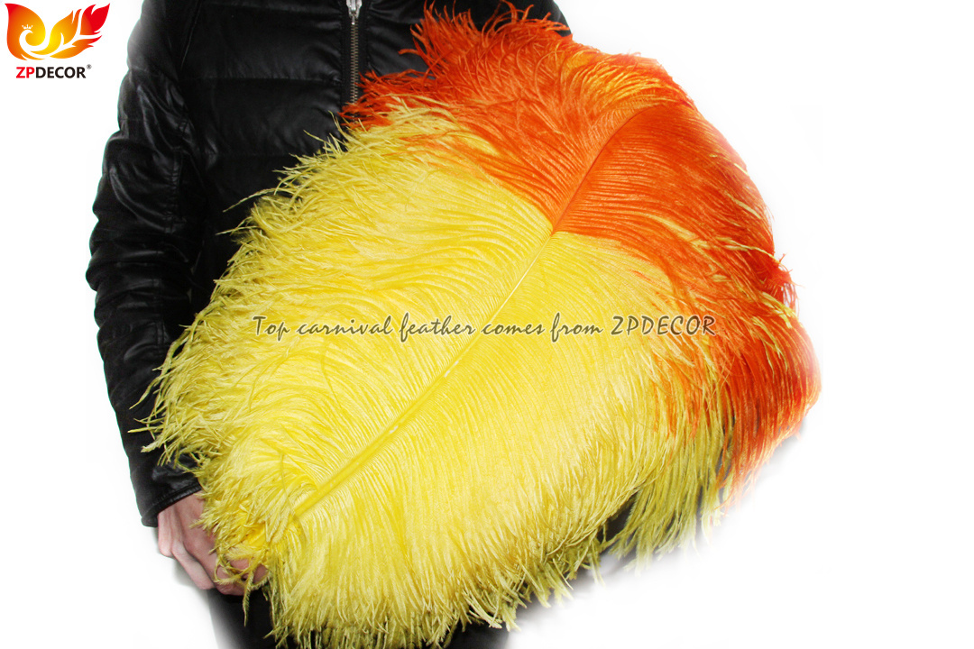 Zpdecor Feathers Wholsale Ostrich Feathers
