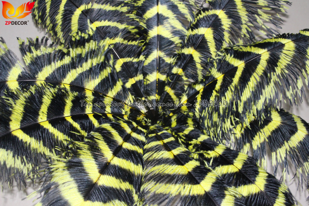 Zpdecor Feathers Wholsale Striped Ostrich Feathers