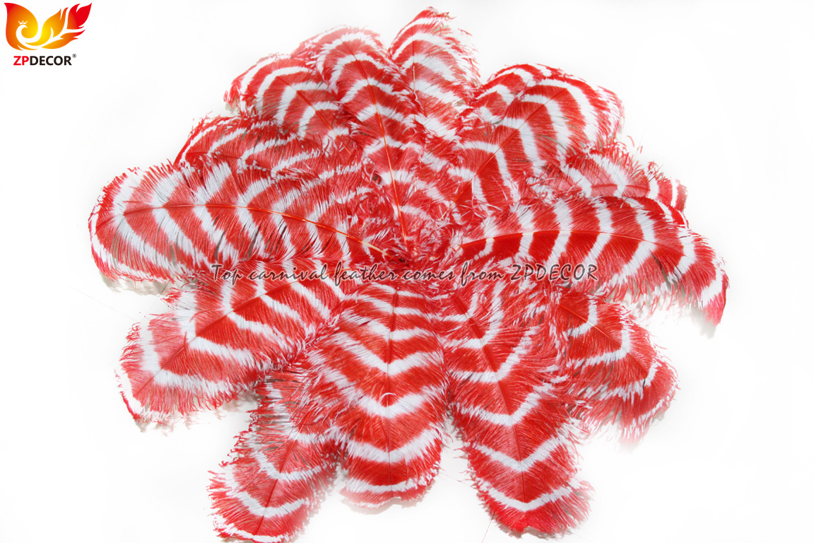 Zpdecor Feathers Wholsale Striped Ostrich Feathers
