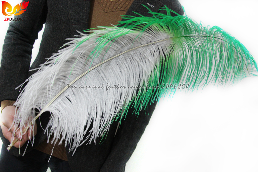 Zpdecor Feathers Wholsale Ostrich Feathers
