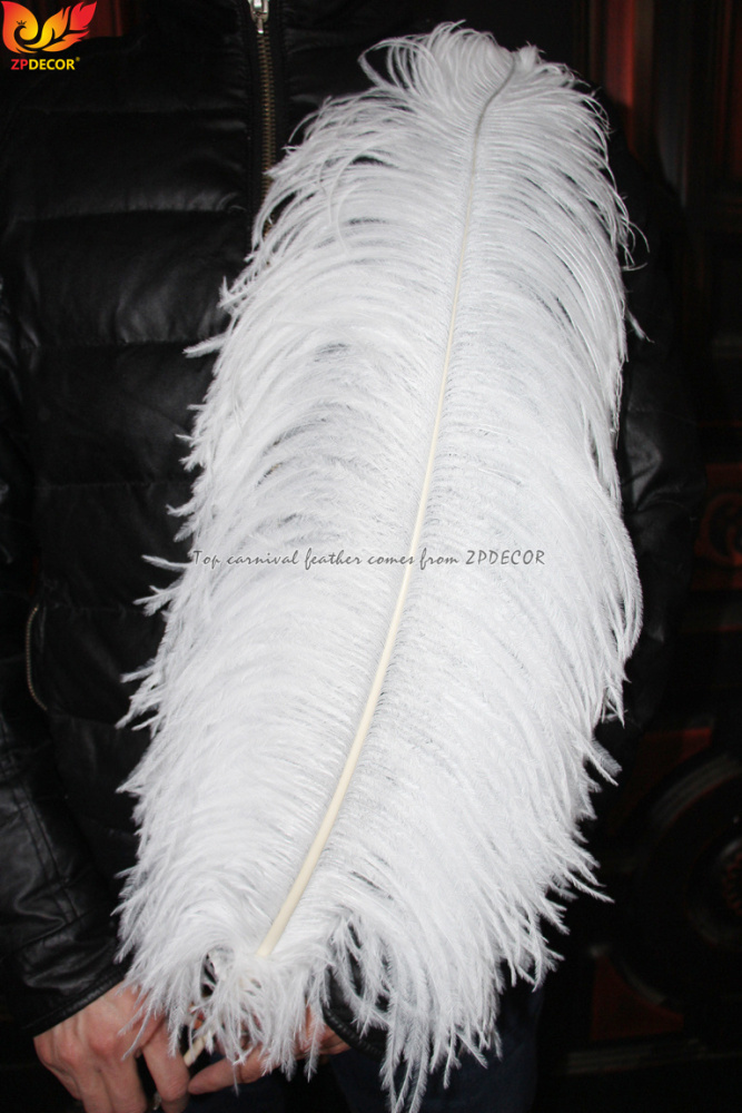 Zpdecor Feathers Factory Wholsale 70-75cm Large White Ostrich Feathers