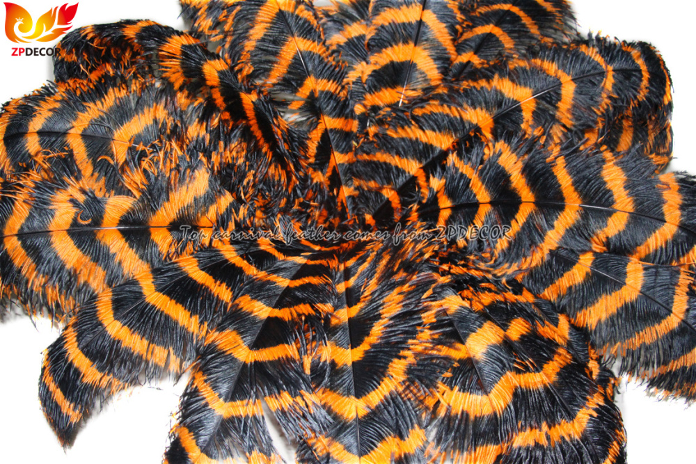 Zpdecor Feathers Wholsale Striped Ostrich Feathers