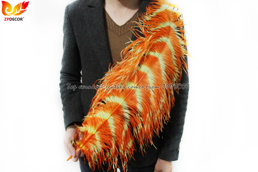 Zpdecor Feathers Wholsale Ostrich Feathers