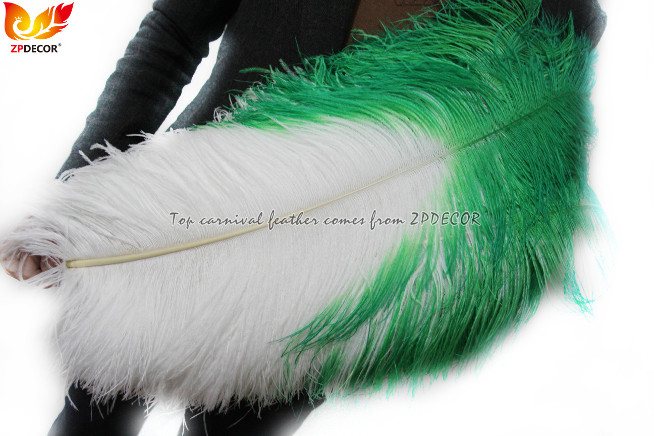 Zpdecor Feathers Wholsale Ostrich Feathers