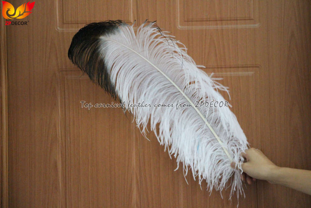 Zpdecor Feathers Wholsale White Ostrich Feathers with Black Tip
