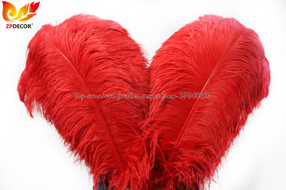 Zpdecor Feathers Factory Wholsale 70-75 cm Red Ostrich Feathers for Carnival Costumes