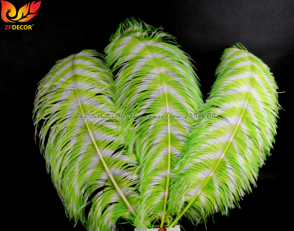 Zpdecor Feathers Wholsale Striped Dyed Ostrich Feathers