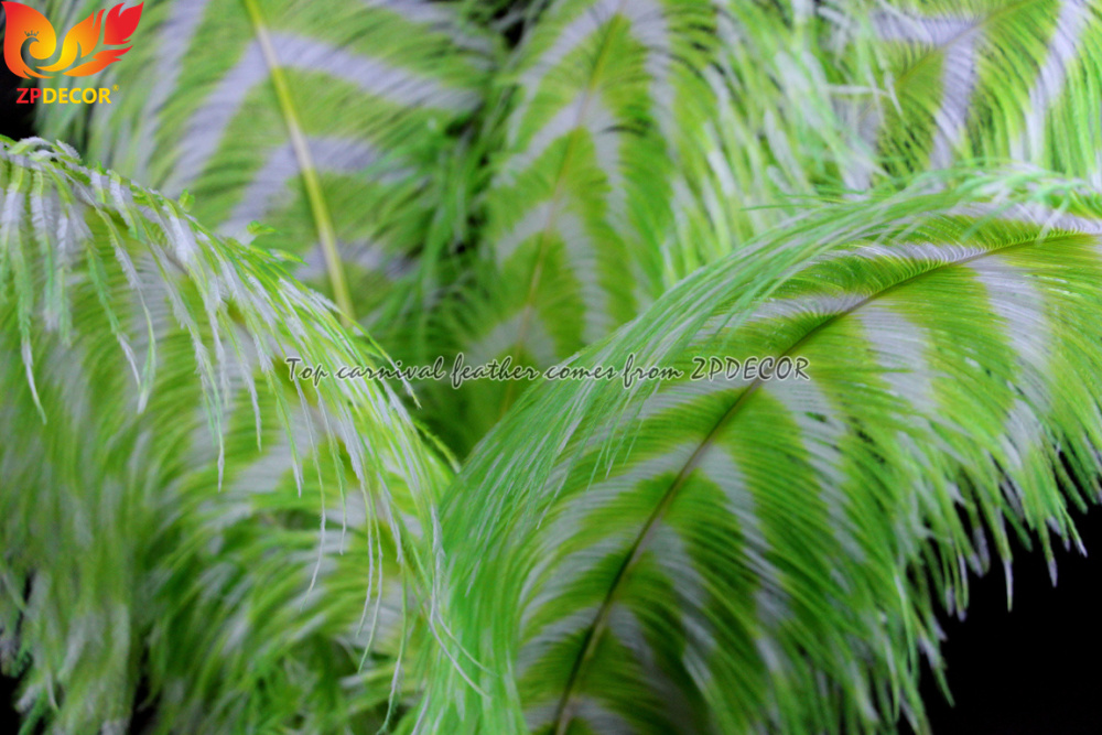 Zpdecor Feathers Wholsale Striped Dyed Ostrich Feathers
