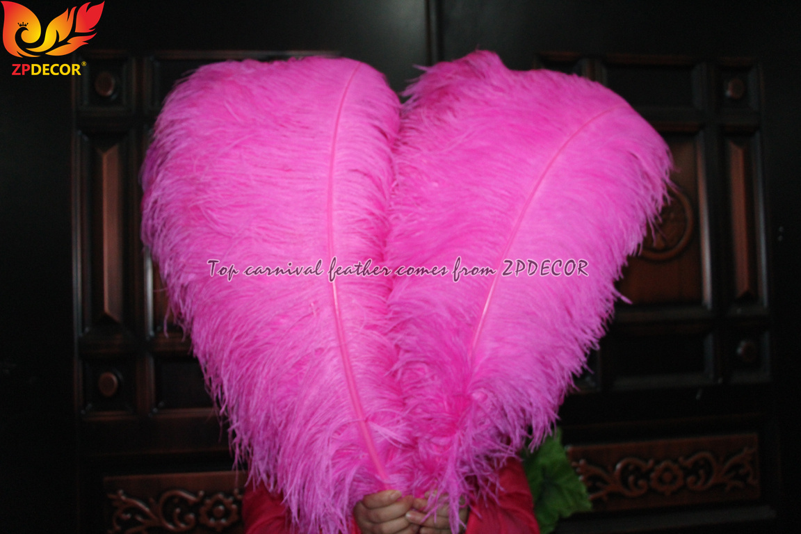 Zpdecor Feathers Wholsale Pink Ostrich Feathers