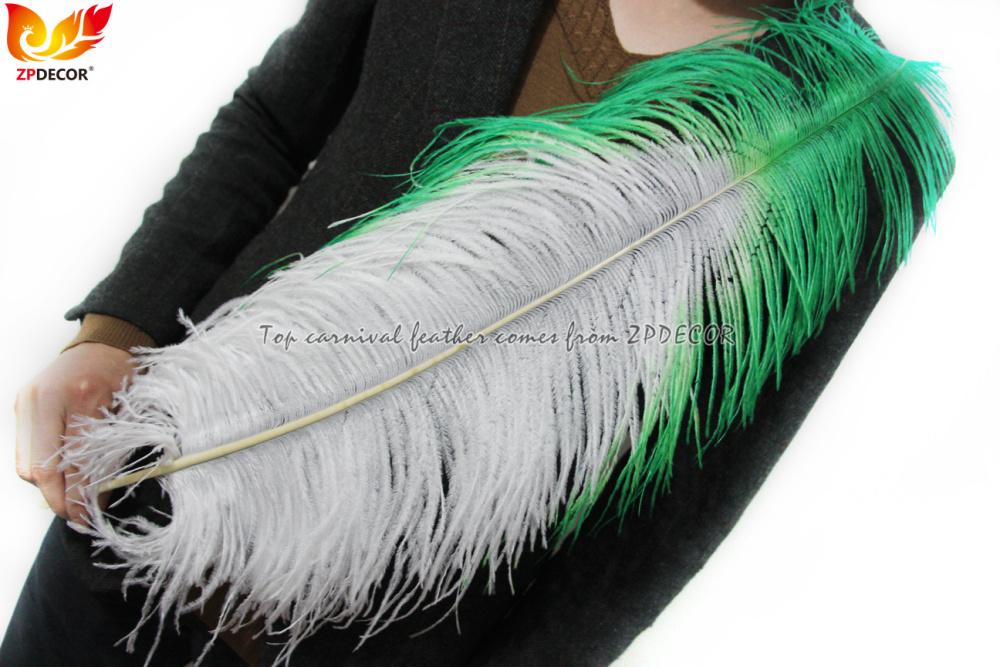 Zpdecor Feathers Wholsale Ostrich Feathers