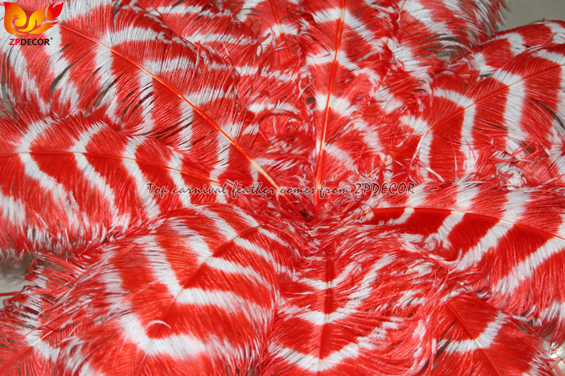 Zpdecor Feathers Wholsale Striped Ostrich Feathers