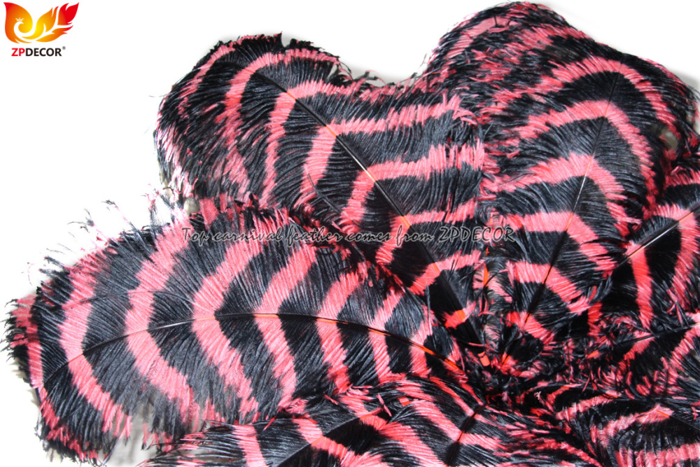 Zpdecor Feathers Wholsale Striped Ostrich Feathers