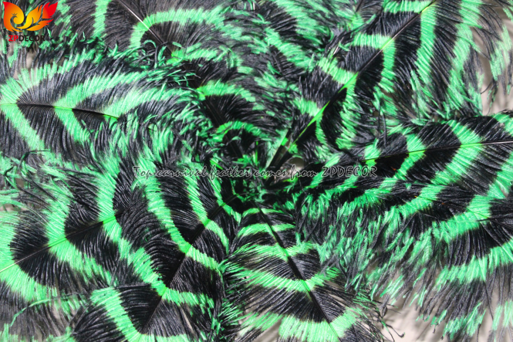 Zpdecor Feathers Wholsale Striped Ostrich Feathers