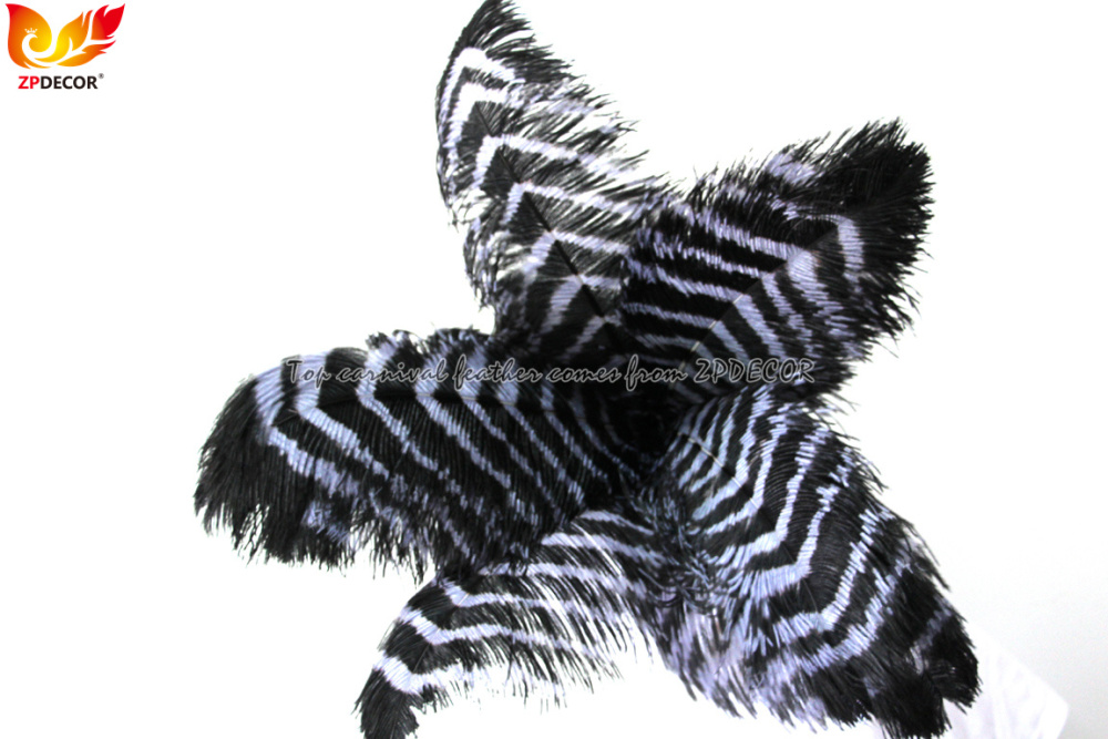 Zpdecor Feathers Wholsale Ostrich Feathers