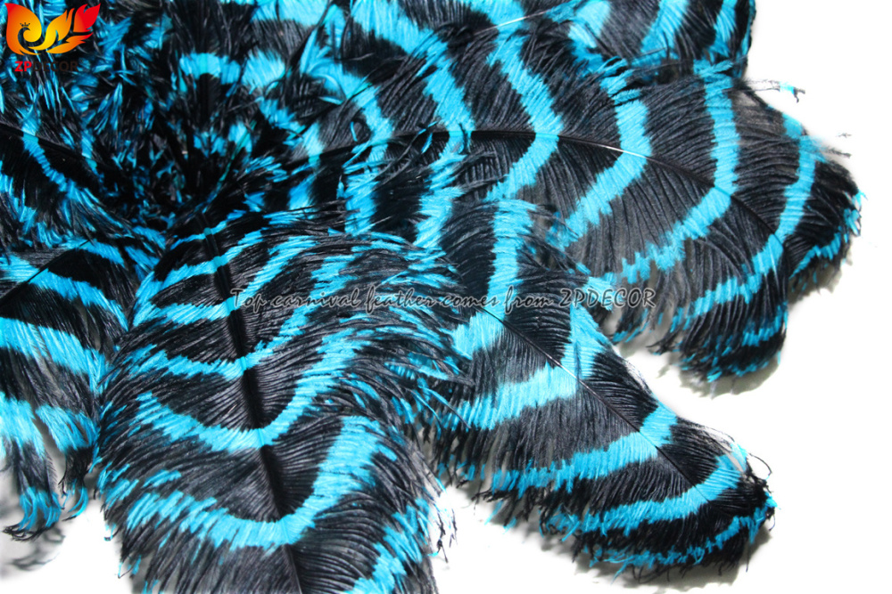 Zpdecor Feathers Wholsale Striped Ostrich Feathers