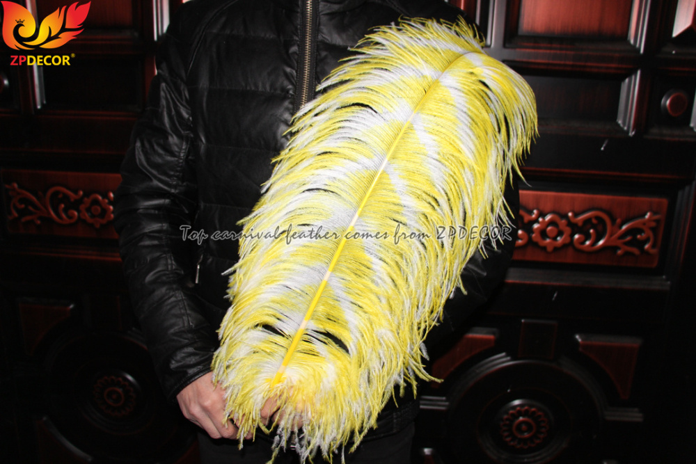 Zpdecor Feathers Dyed Ostrich Feathers